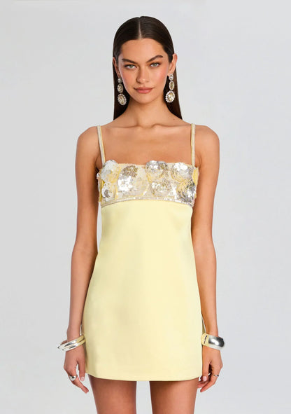 Lark Embroidered Dress